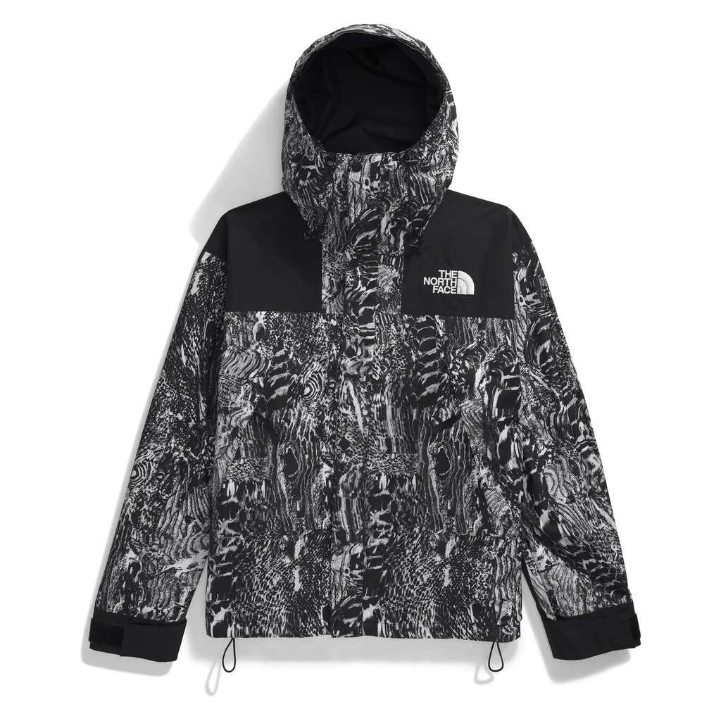 The North Face Men's GORE-TEX Mountain Jacket
