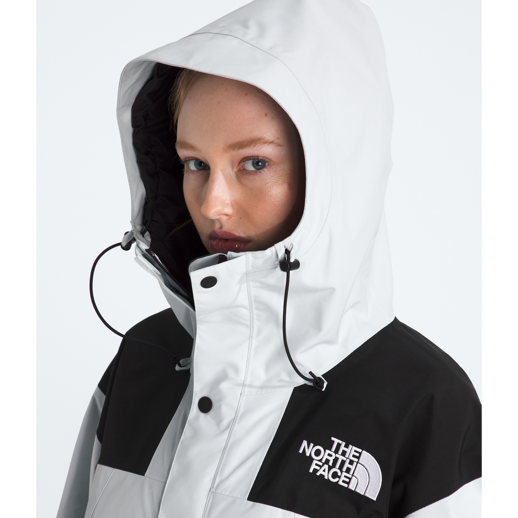 The North Face Men's GORE-TEX Mountain Jacket