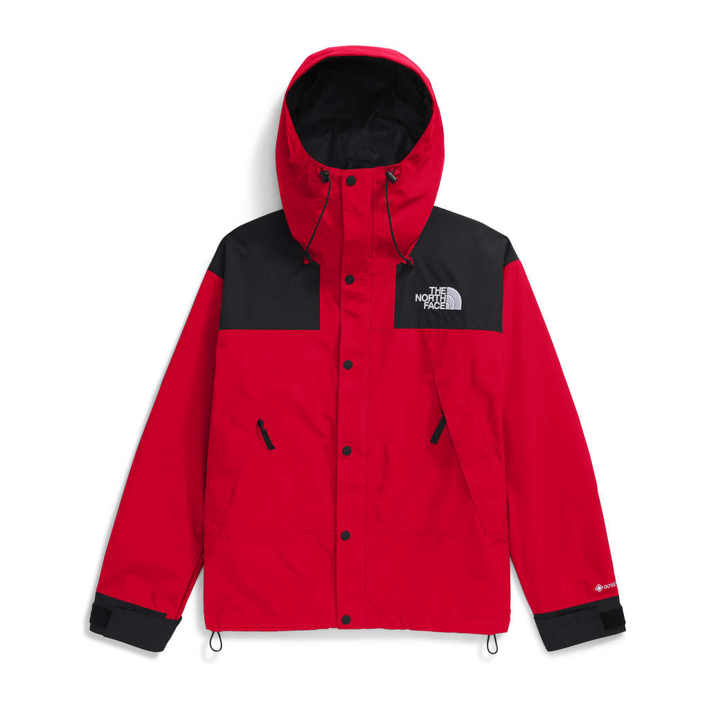 The North Face Men's GORE-TEX Mountain Jacket
