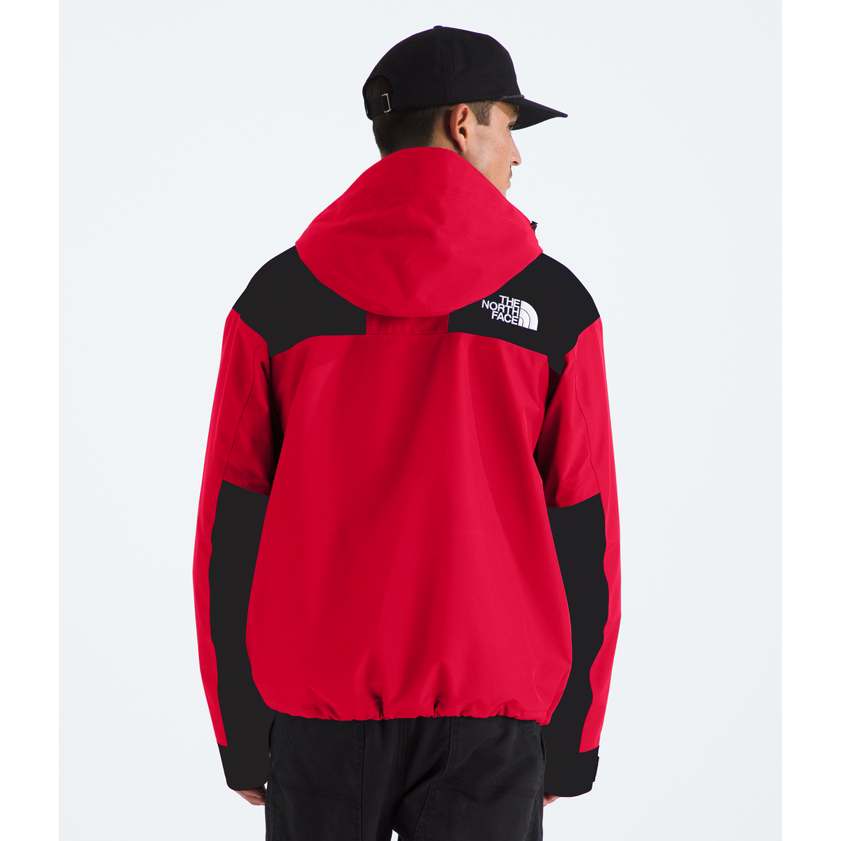 The North Face Men's GORE-TEX Mountain Jacket